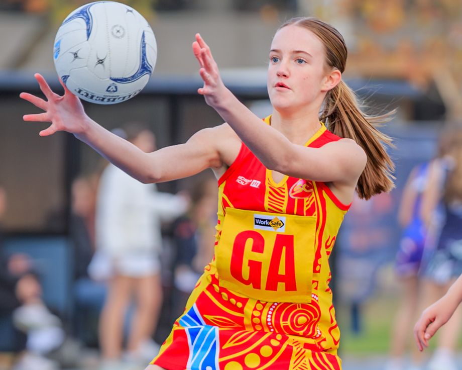 Surf Coast Suns Logo